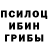 Галлюциногенные грибы GOLDEN TEACHER Semen Semenichev