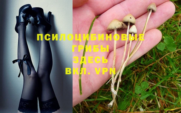 каннабис Баксан