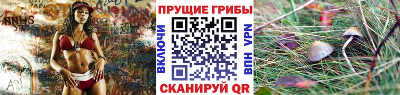 Псилоцибиновые грибы Magic Shrooms  Отрадная 